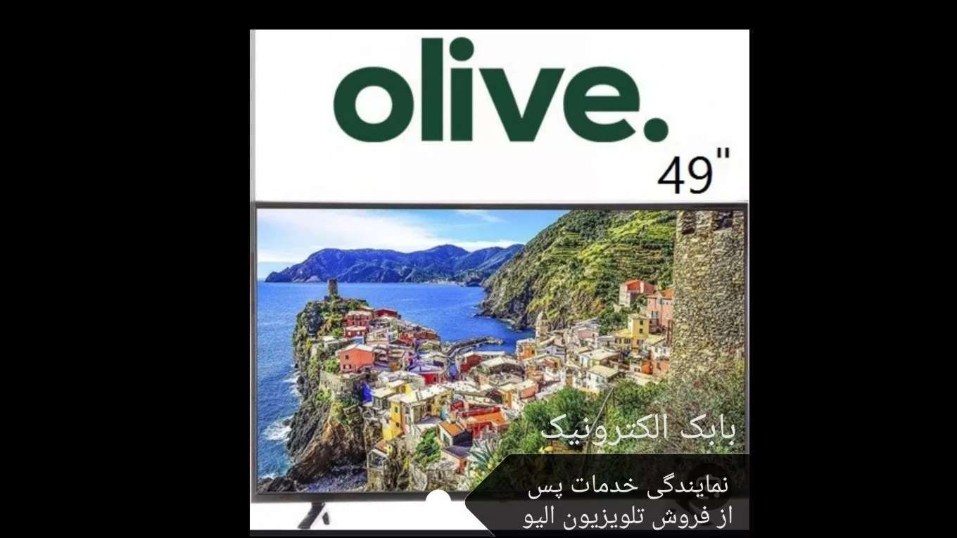 Babak Electronics