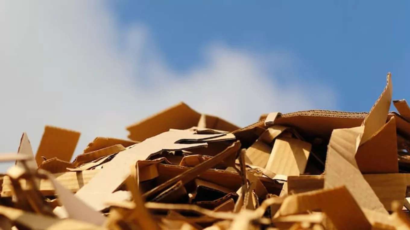 Buying cardboard waste