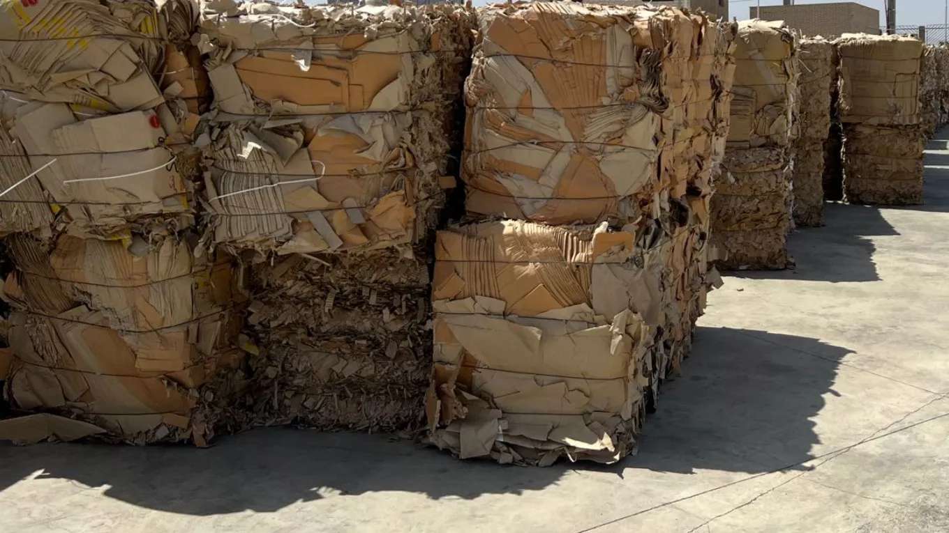 Buying Rabiei cardboard waste