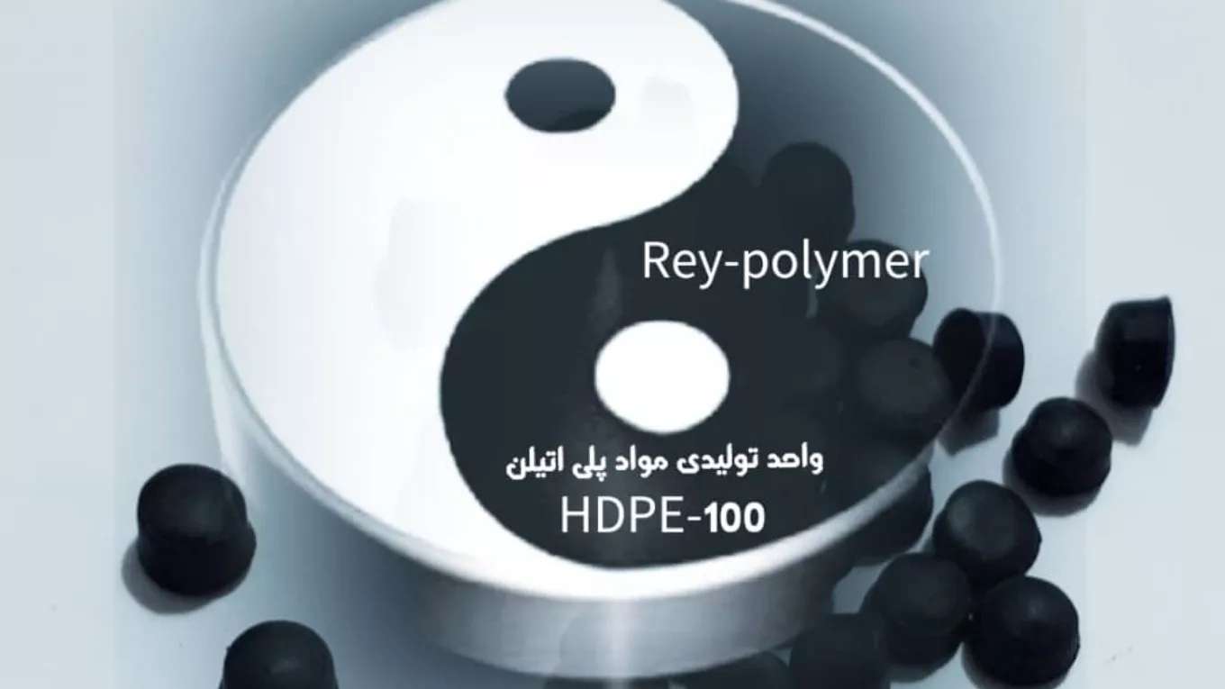 Ray Polymer