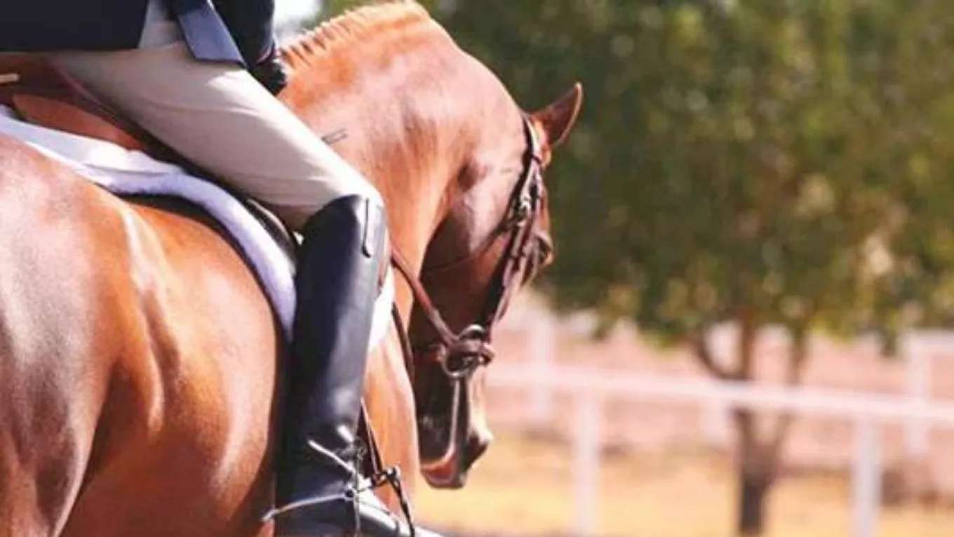 نادي سابلان ستورم لركوب الخيل