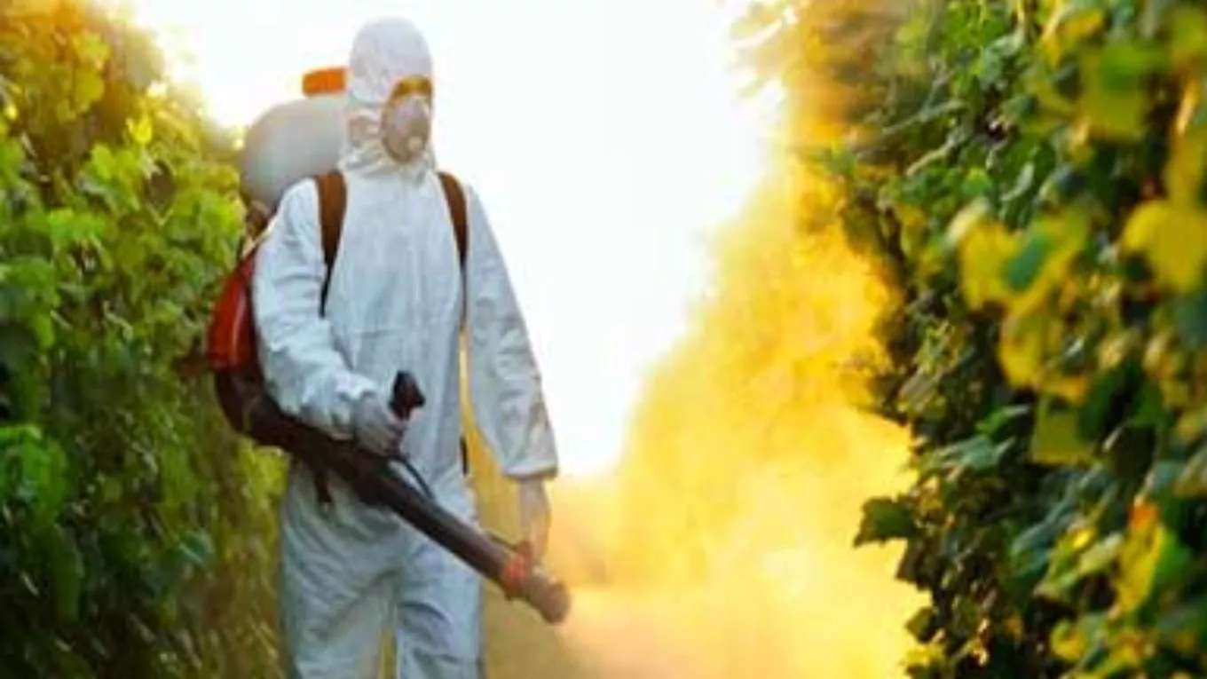 Worth spraying