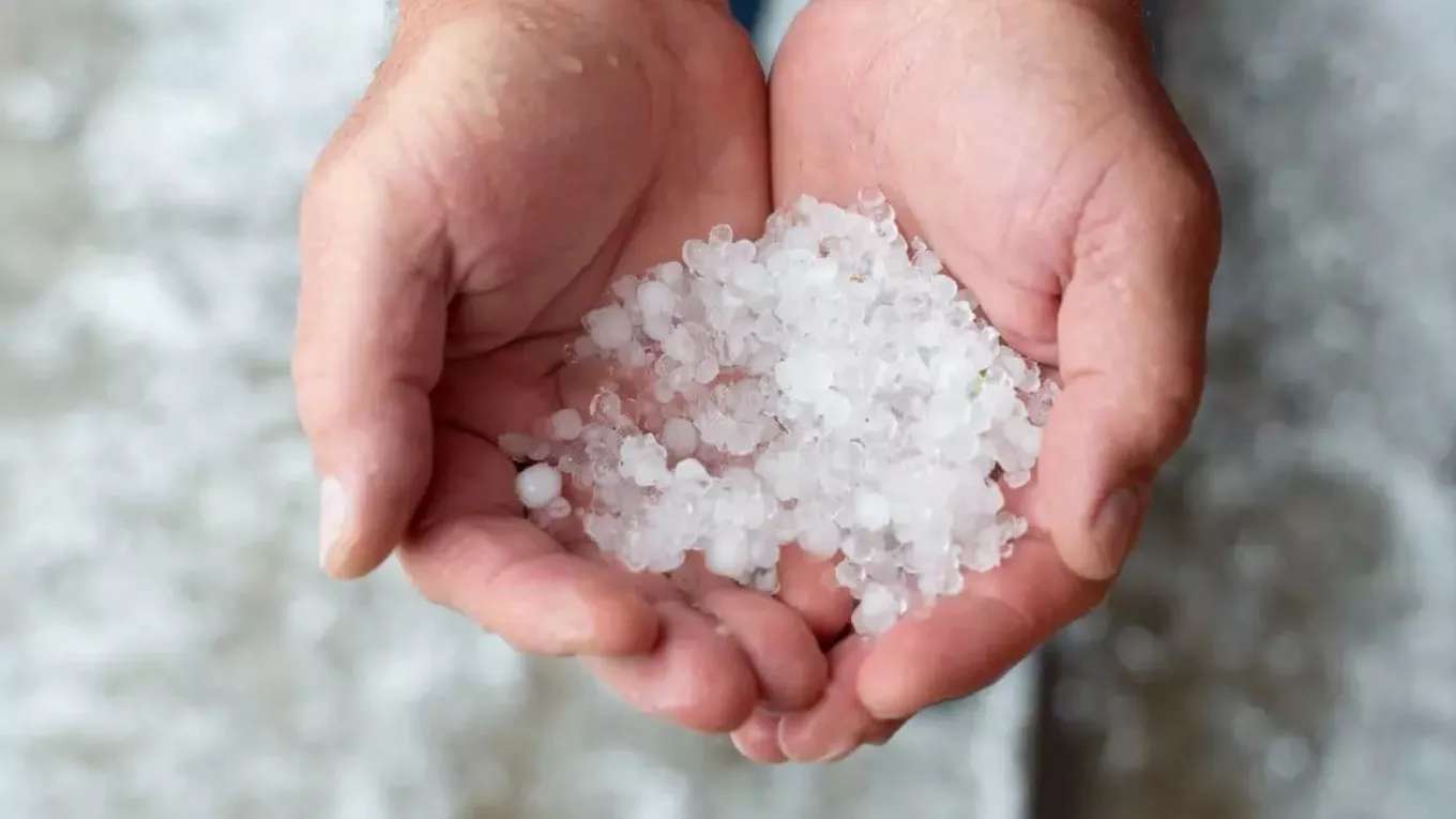 Caustic soda Rostak Kimia
