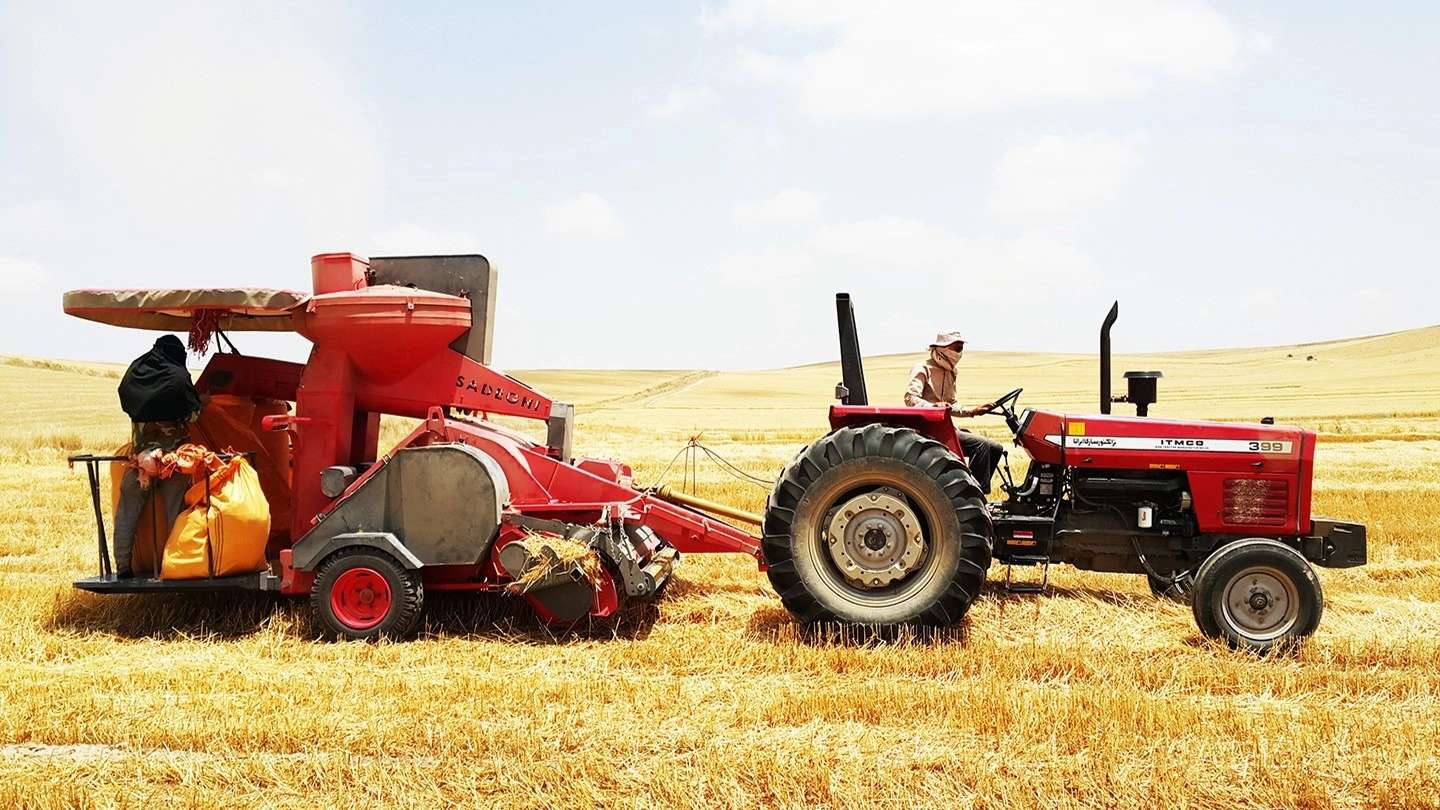 Agricultural tools of the Persian Gulf