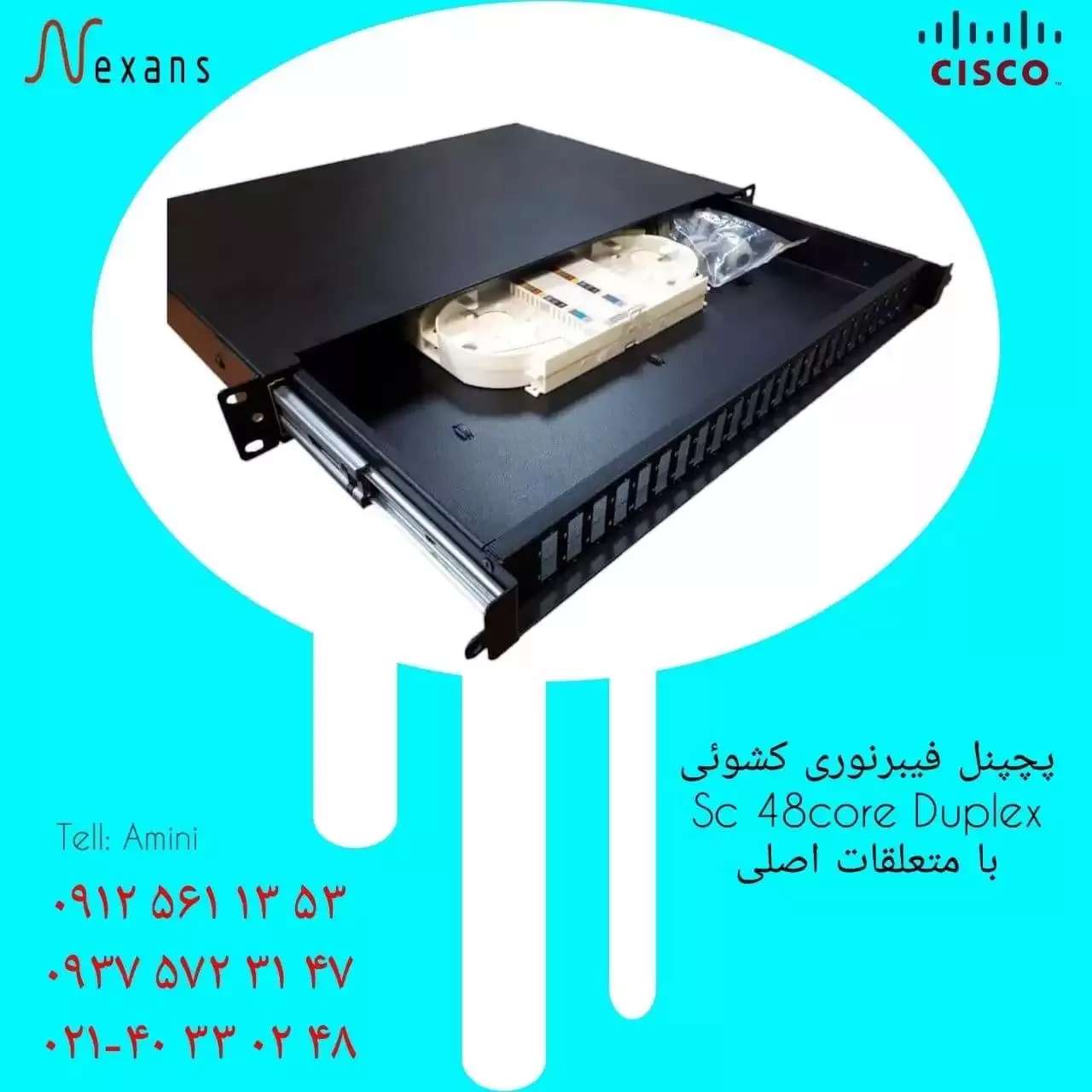 1694243468426.webp