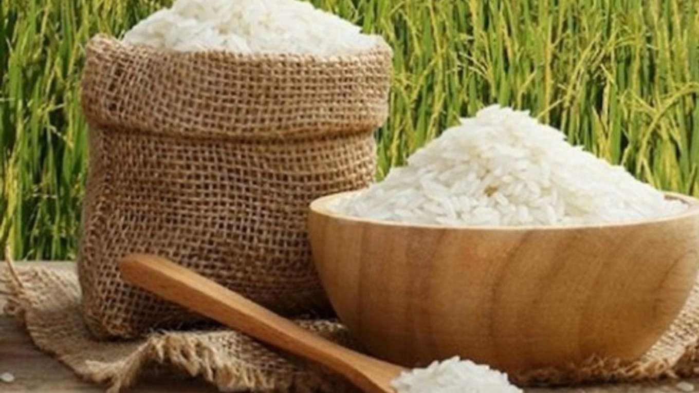متجر أرز قزوين
