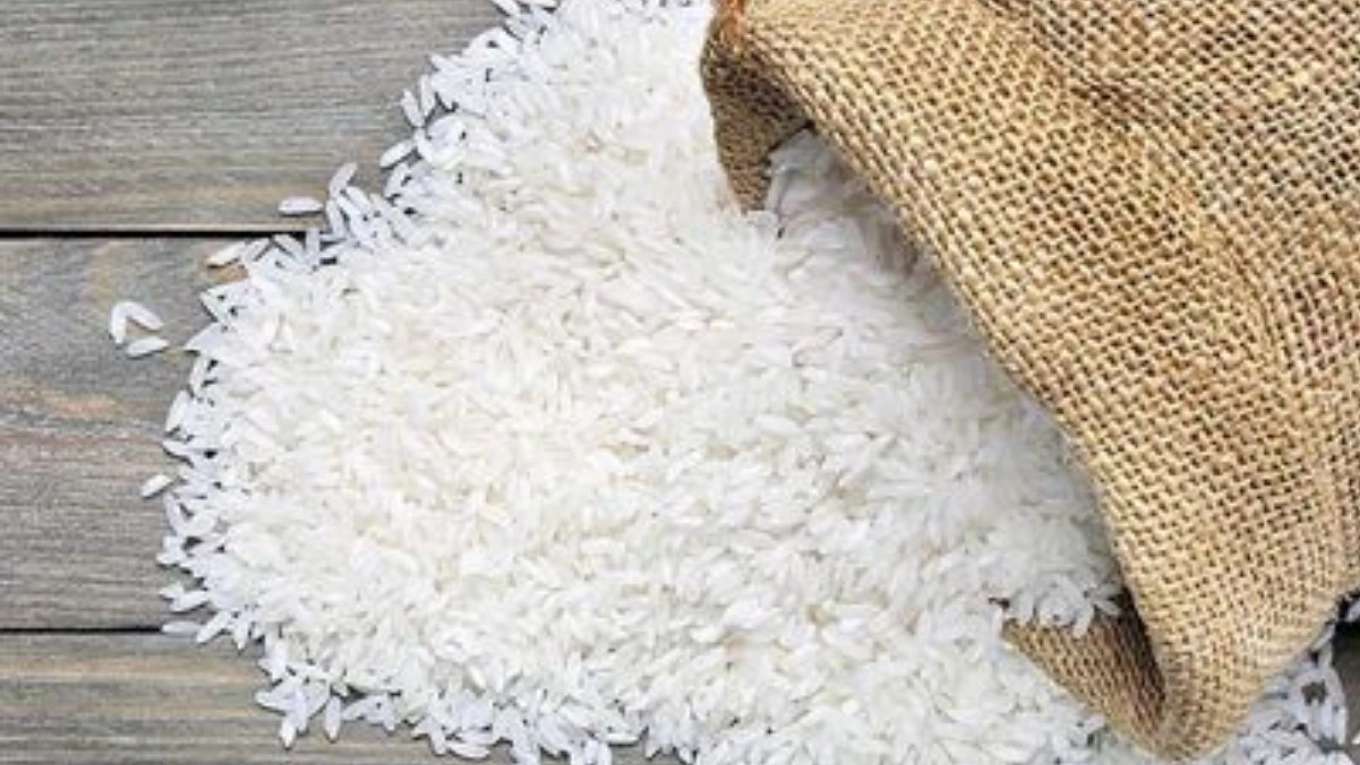 متجر أرز قزوين