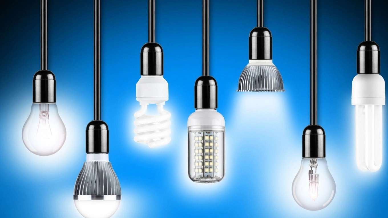 LED and halogen lamps