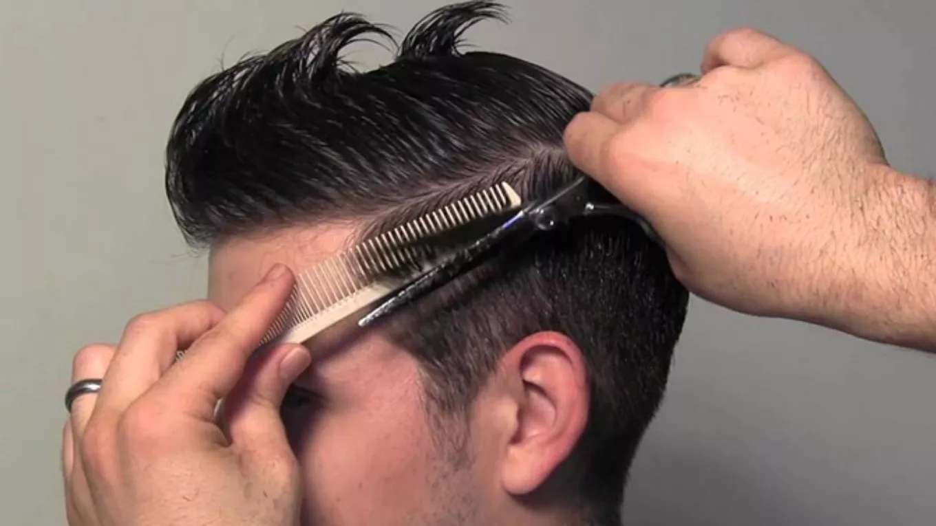 Modern trimming of the falcon