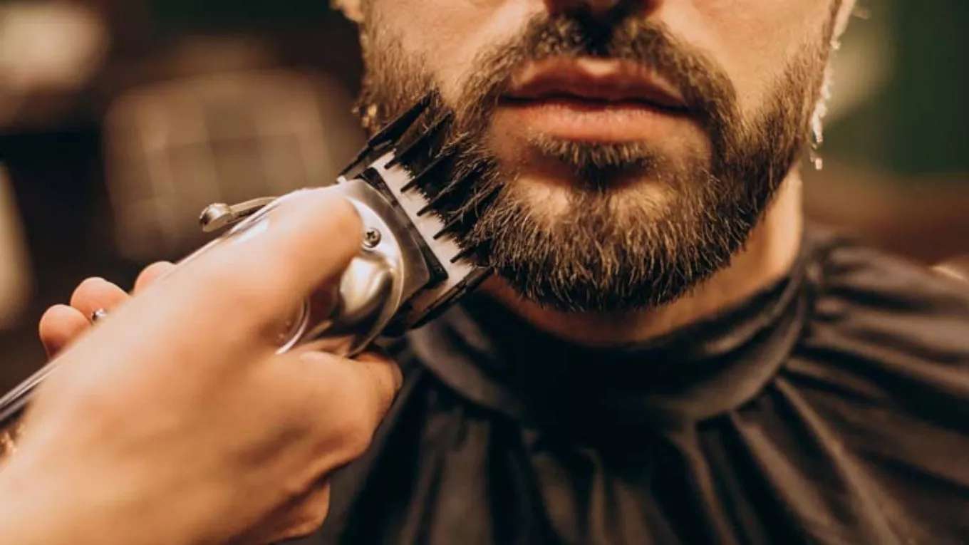 Modern trimming of the falcon