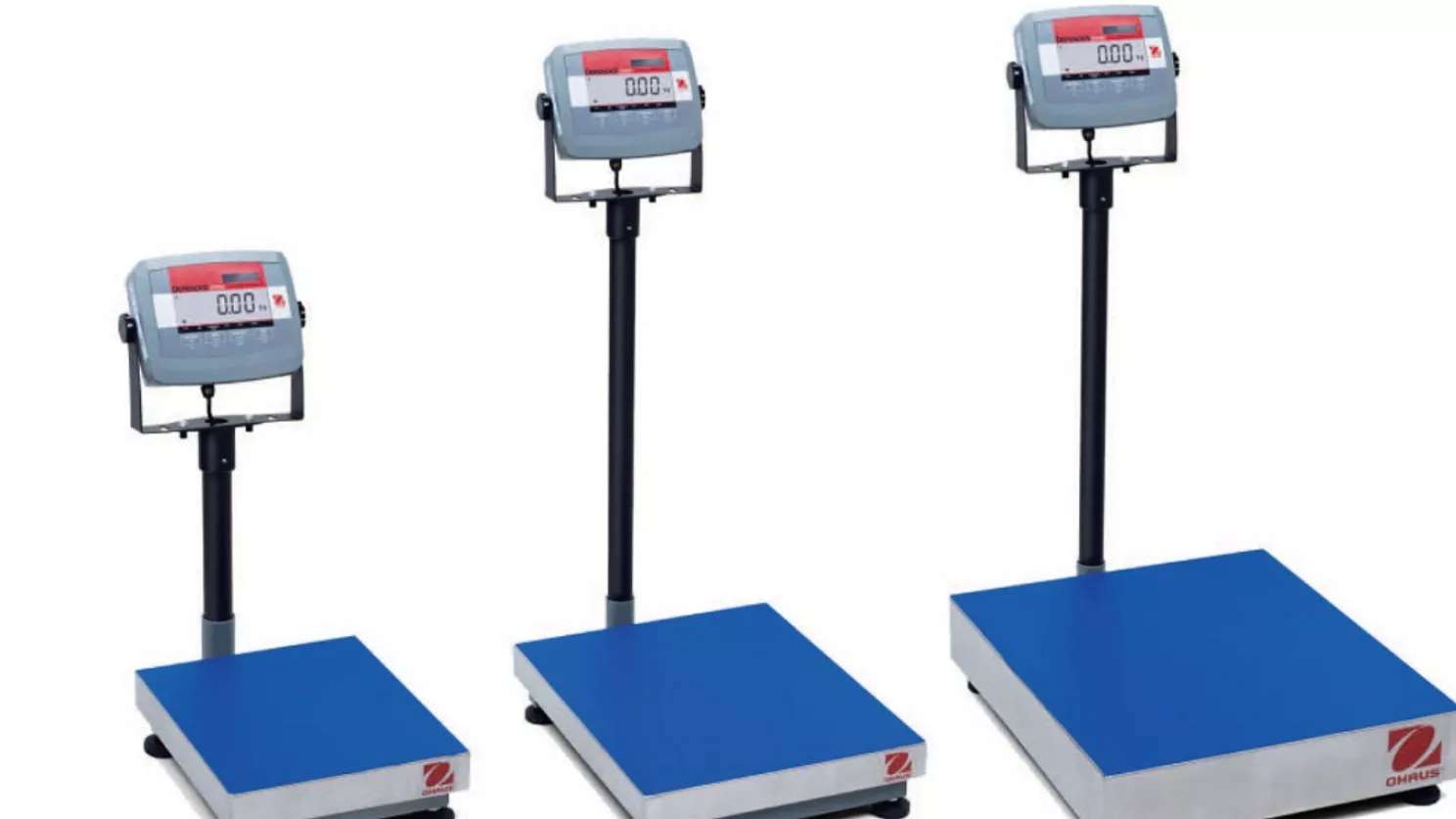Pasargad weighing equipment