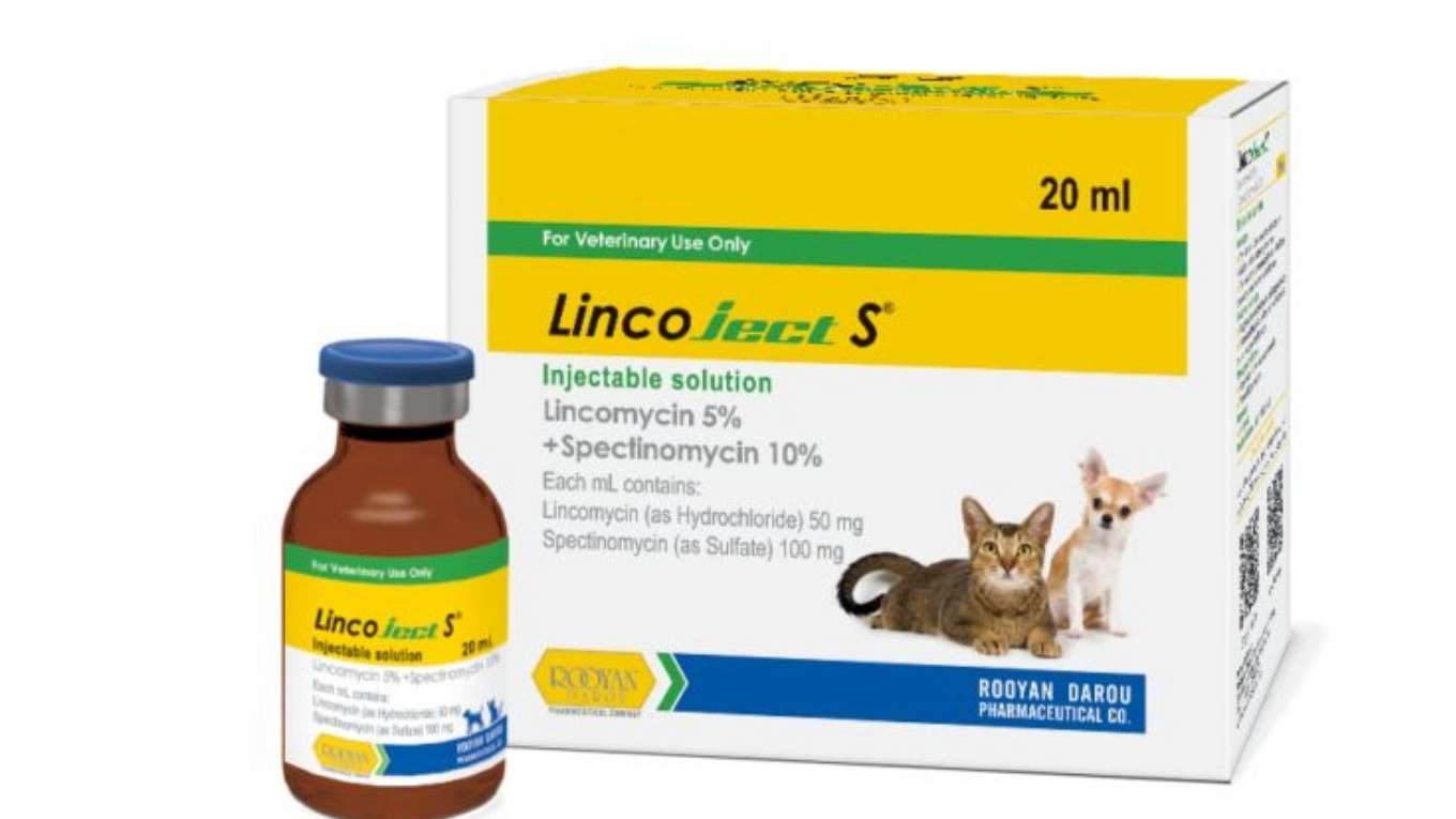 Linkoject S®