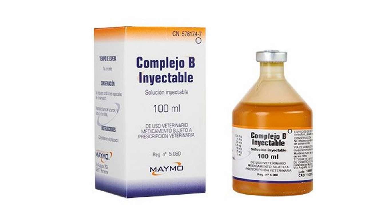 B Complex - B Complex