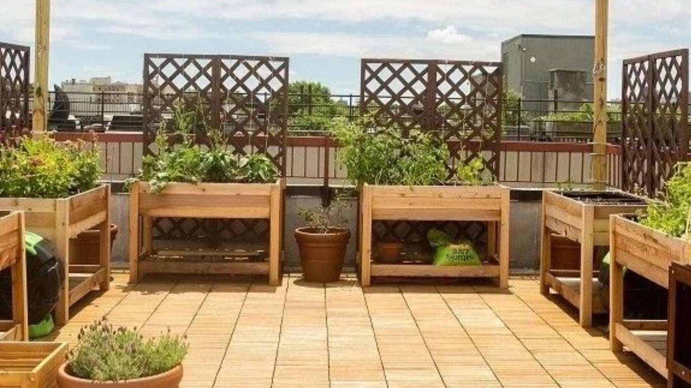 Mad Construction Group