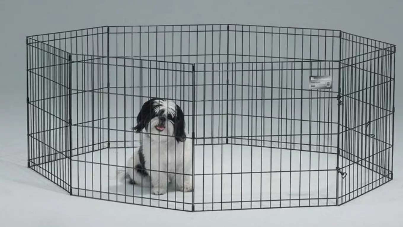 Fazli cage industry