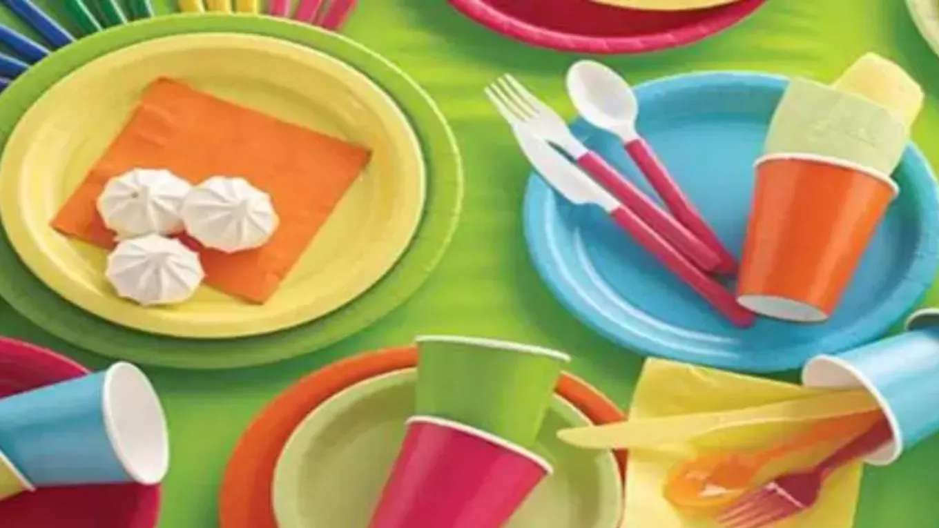 Jame Rezaei disposable dishes