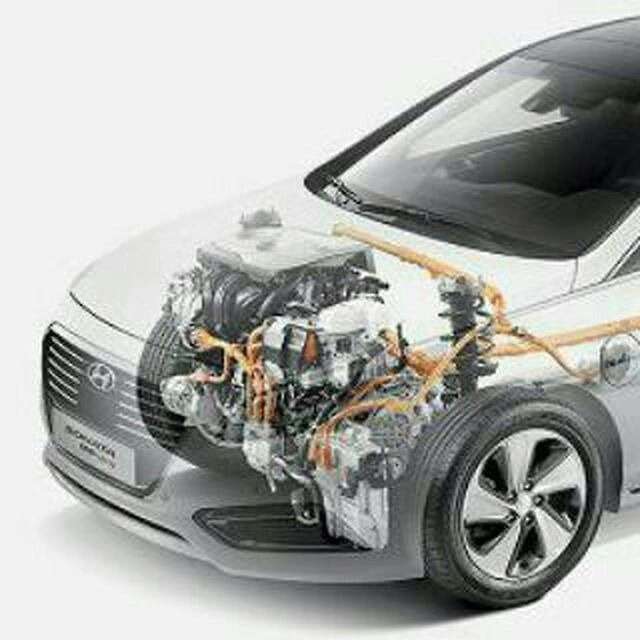 1695291566996.webp