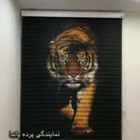 1695450032394.webp