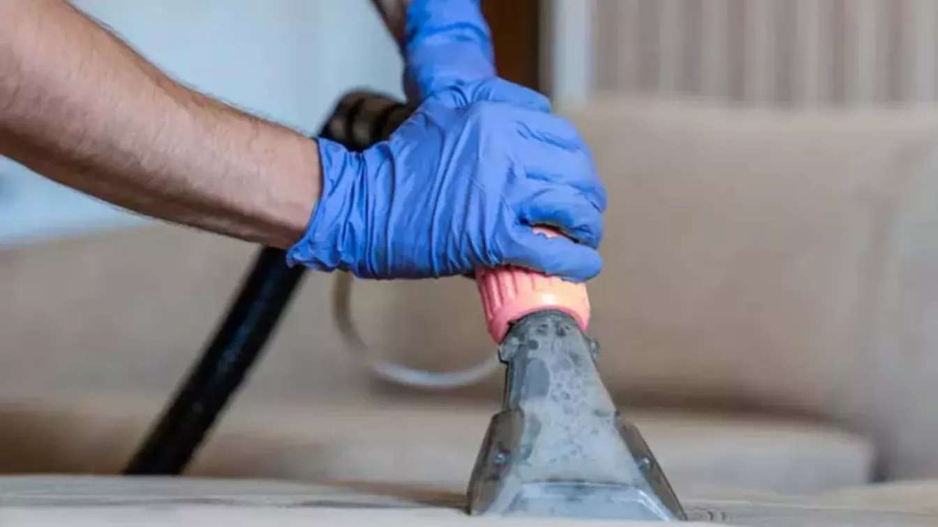 Sofa washing and carpet washing pond