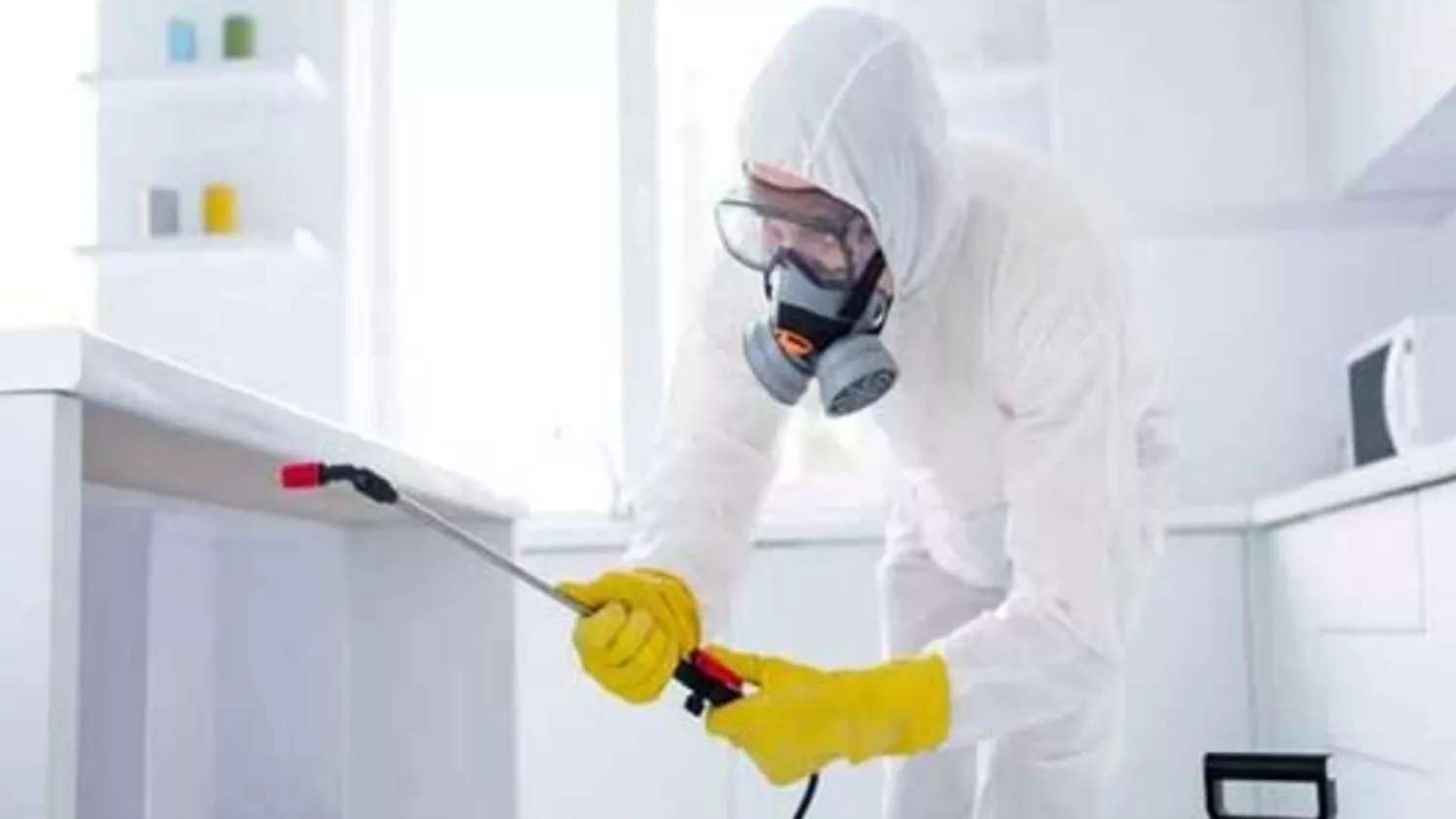 Besharat spraying services company