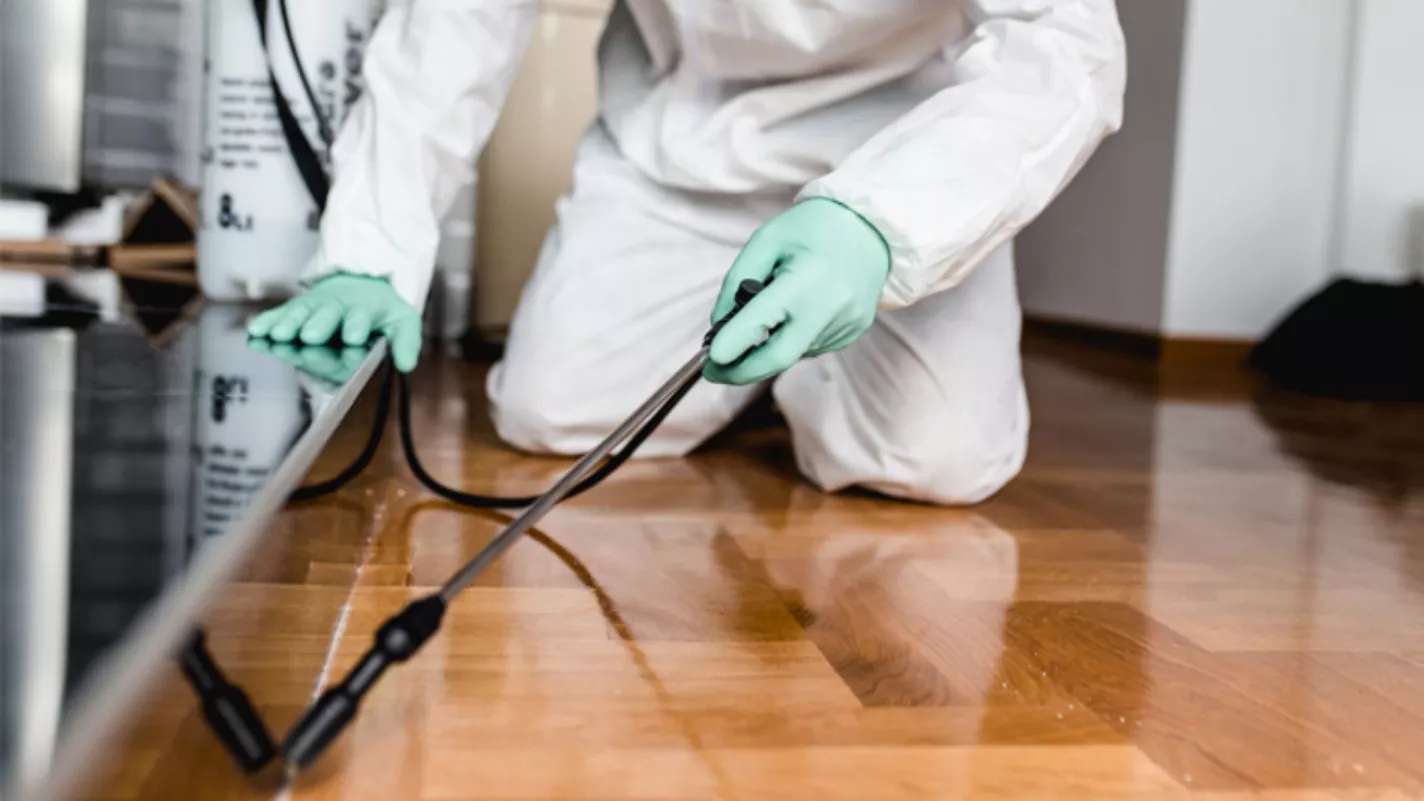 Besharat spraying services company