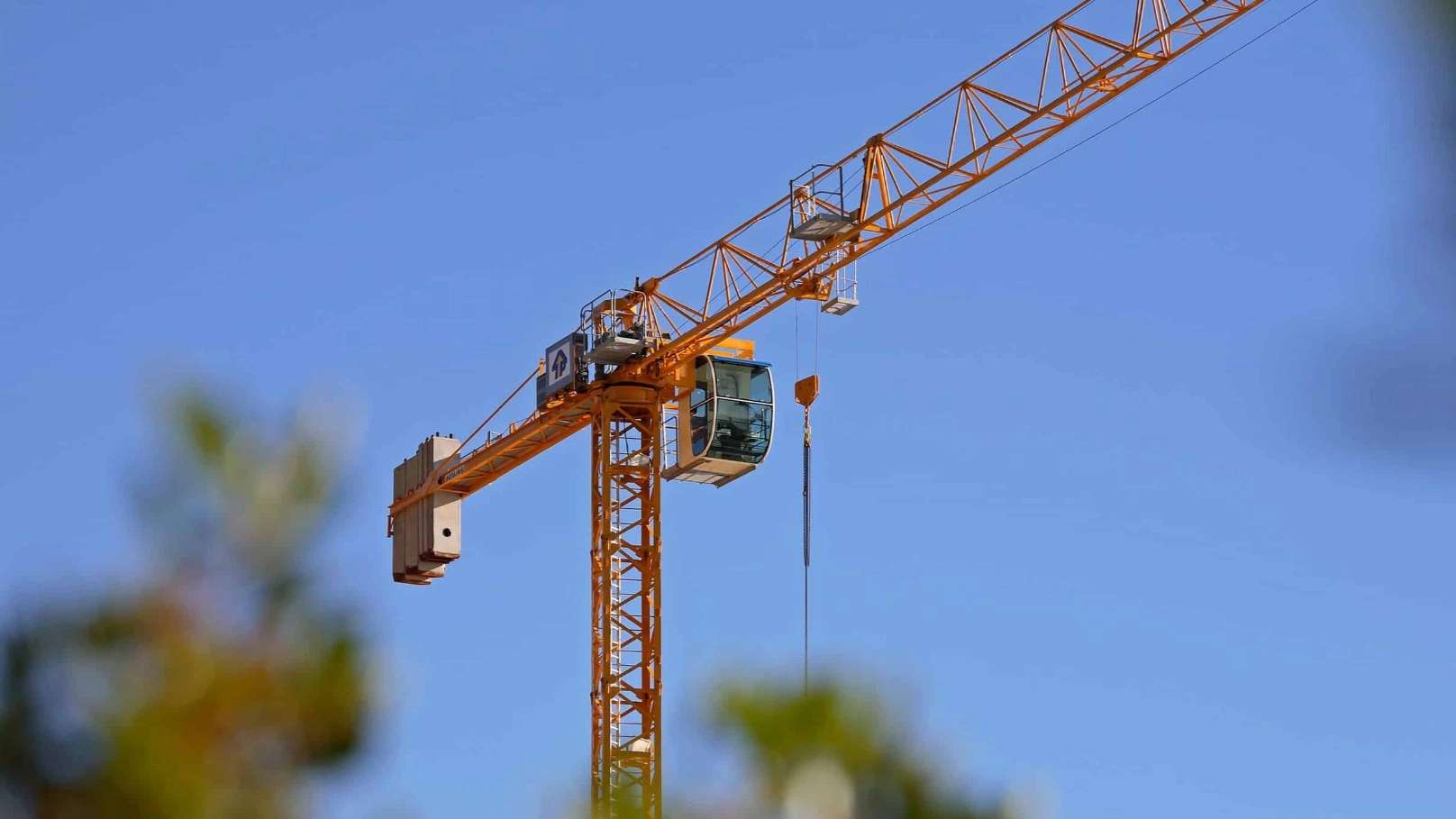 Tower crane and workshop elevator