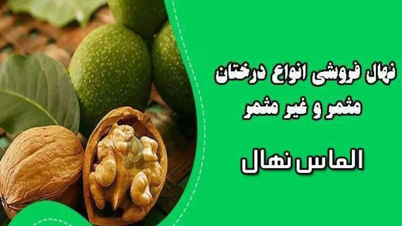 Nahalestan Almas Nahal