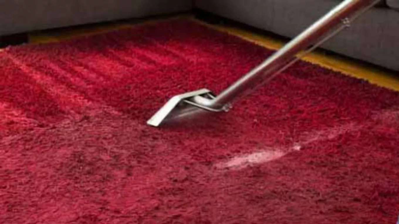 Witness carpet cleaning and sofa cleaning