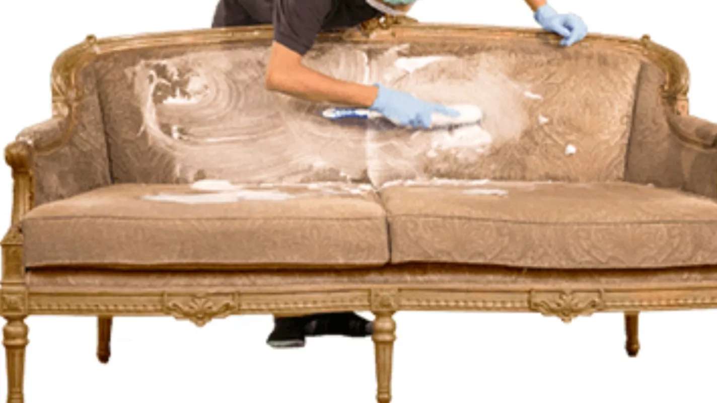 Witness carpet cleaning and sofa cleaning