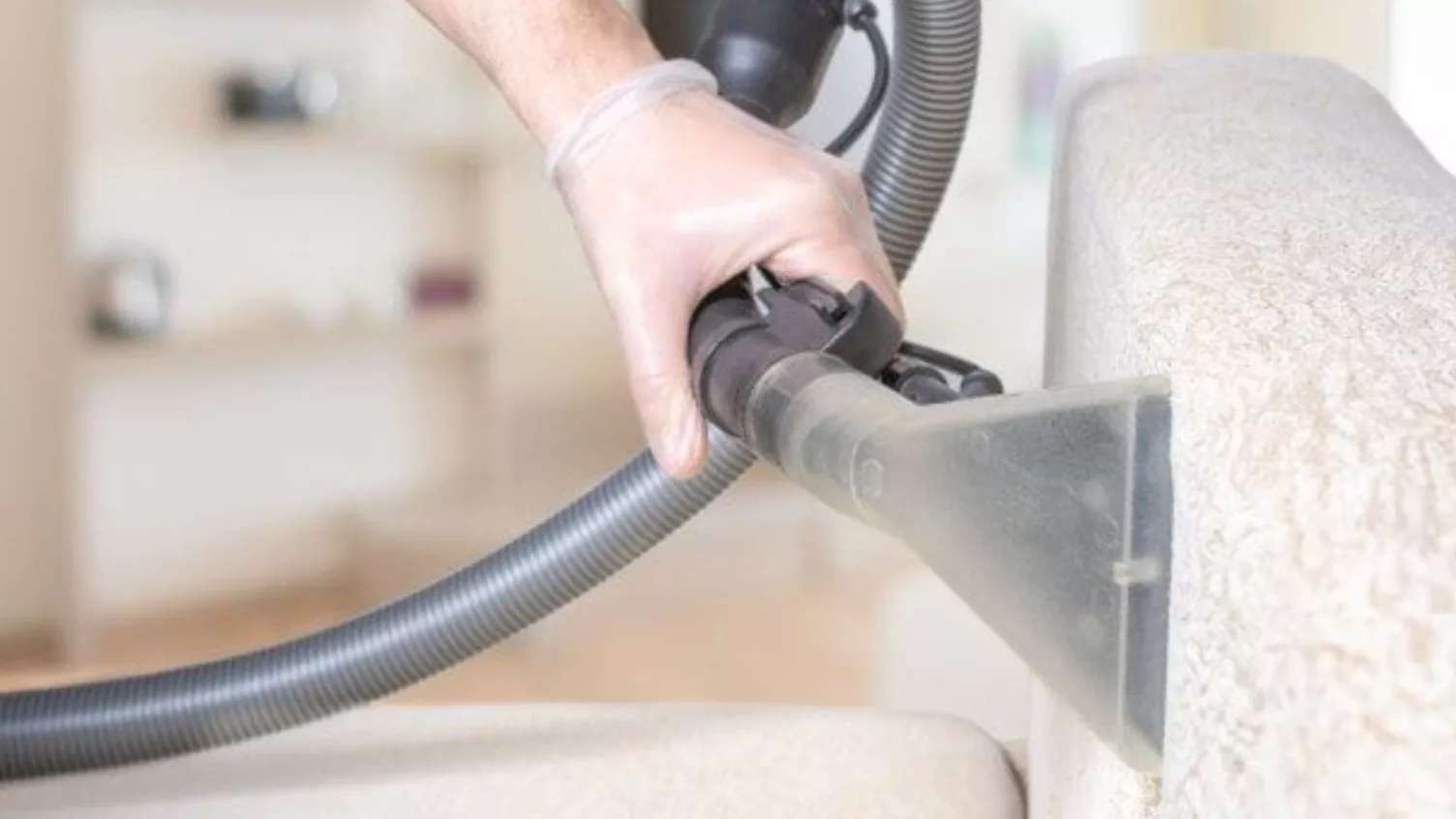 Witness carpet cleaning and sofa cleaning