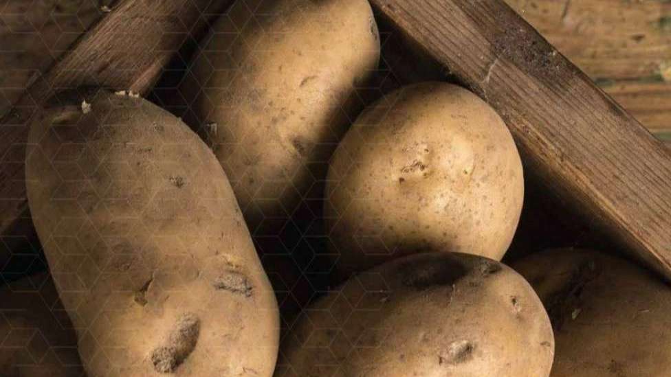 Ravis Agricultural Complex