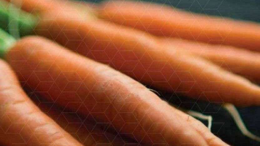 Ravis Agricultural Complex