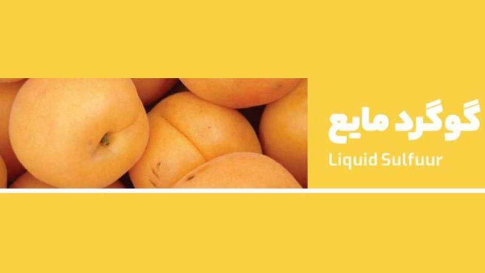 Ravis Agricultural Complex