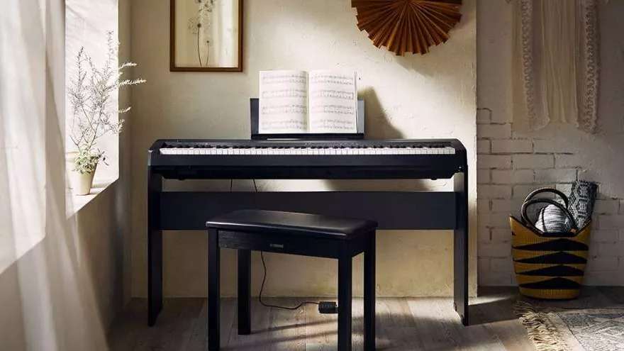 Saideh Golzar, piano technical expert