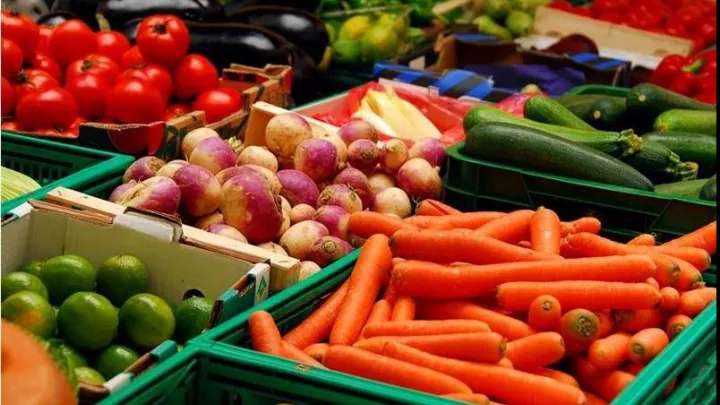 Grocery store, head shop, and summer store