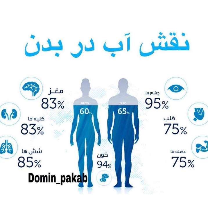 1697438091049.webp
