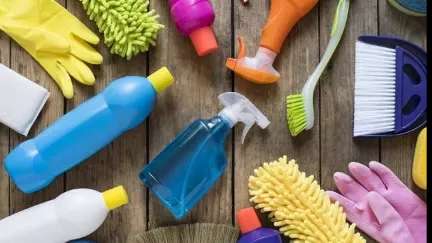 Mobin's durable sofa cleaner