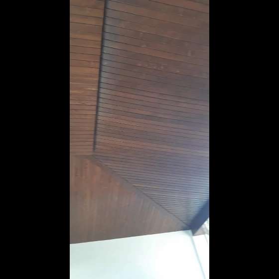 1697523468344.webp