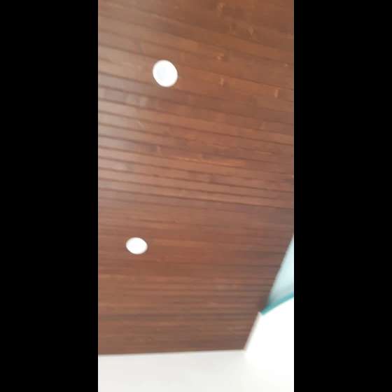 1697523596416.webp