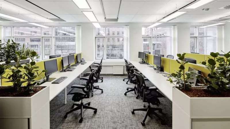 Ofis dekorasyonu