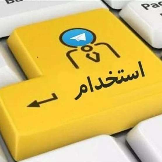 1697961005806.webp