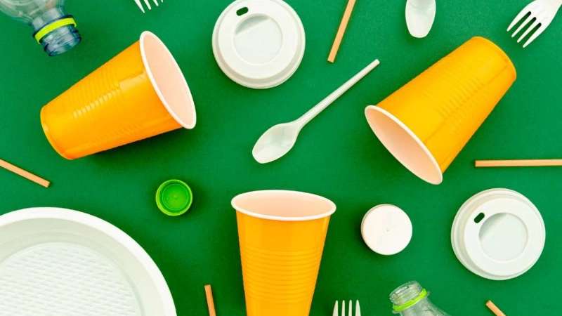 Sale of wholesale disposable containers