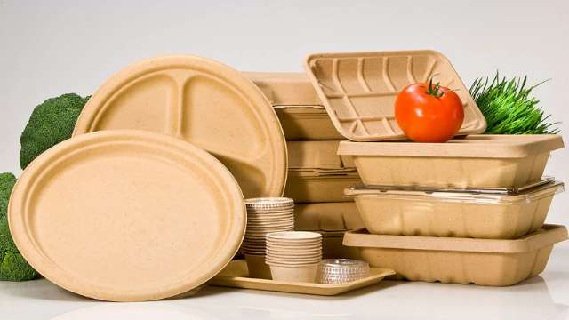 Sale of wholesale disposable containers