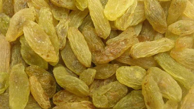 Wholesale sale of Yadgar collection raisins