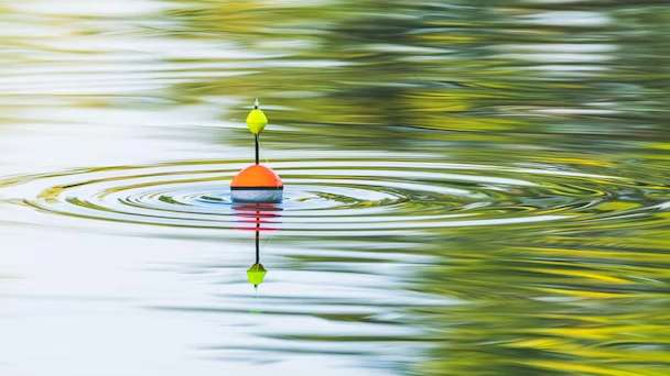 Alborz Tadbir fishing float