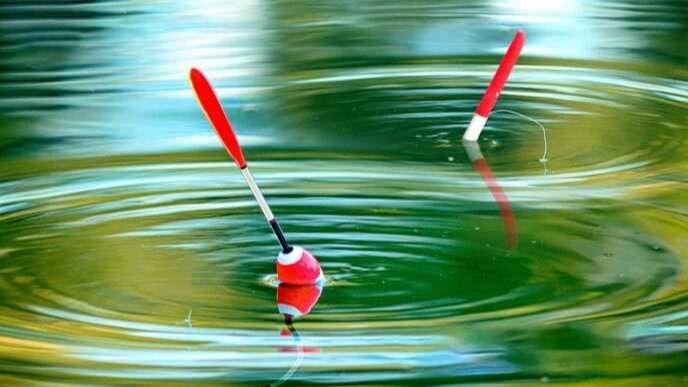 Alborz Tadbir fishing float
