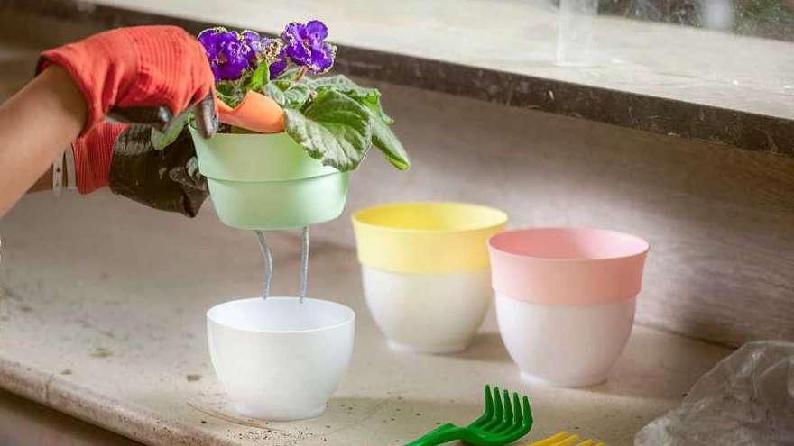 Avan plastic pot
