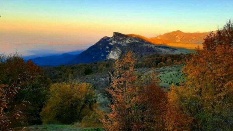 Ecotourism is coming