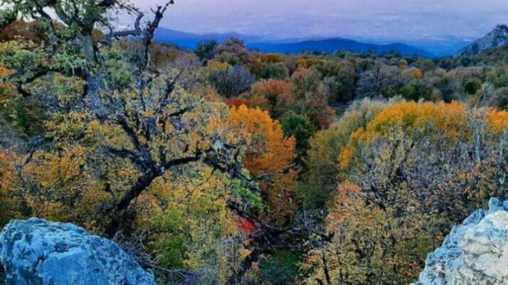 Ecotourism is coming