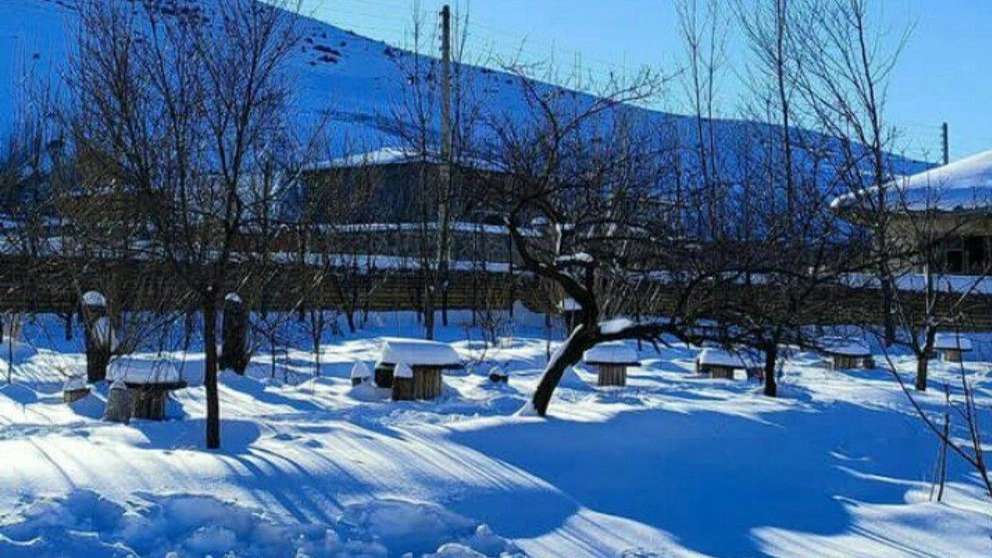 Ecotourism is coming